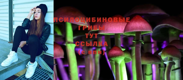 соль ск Нефтекумск