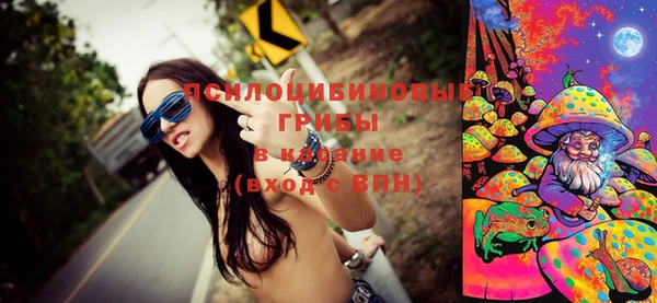 дживик Жердевка