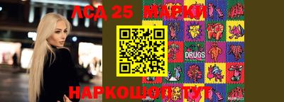 мдпв Гай