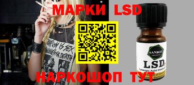 шишки Гатчина