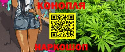 мдпв Гай