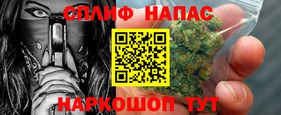 шишки Гатчина