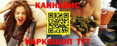 шишки Гатчина