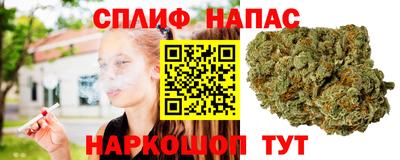 шишки Гатчина