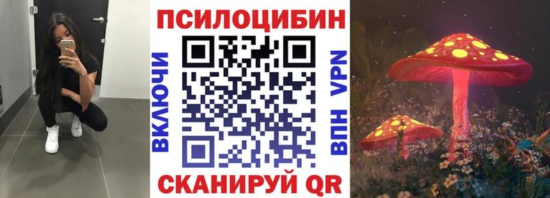 Галлюциногенные грибы Psilocybine cubensis Зеленогорск