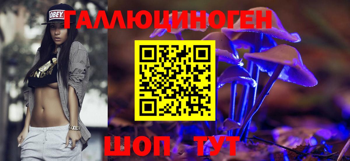 Зеленогорск  Псилоцибиновые грибы мицелий  Псилоцибиновые грибы ЛСД  Вход с VPN 